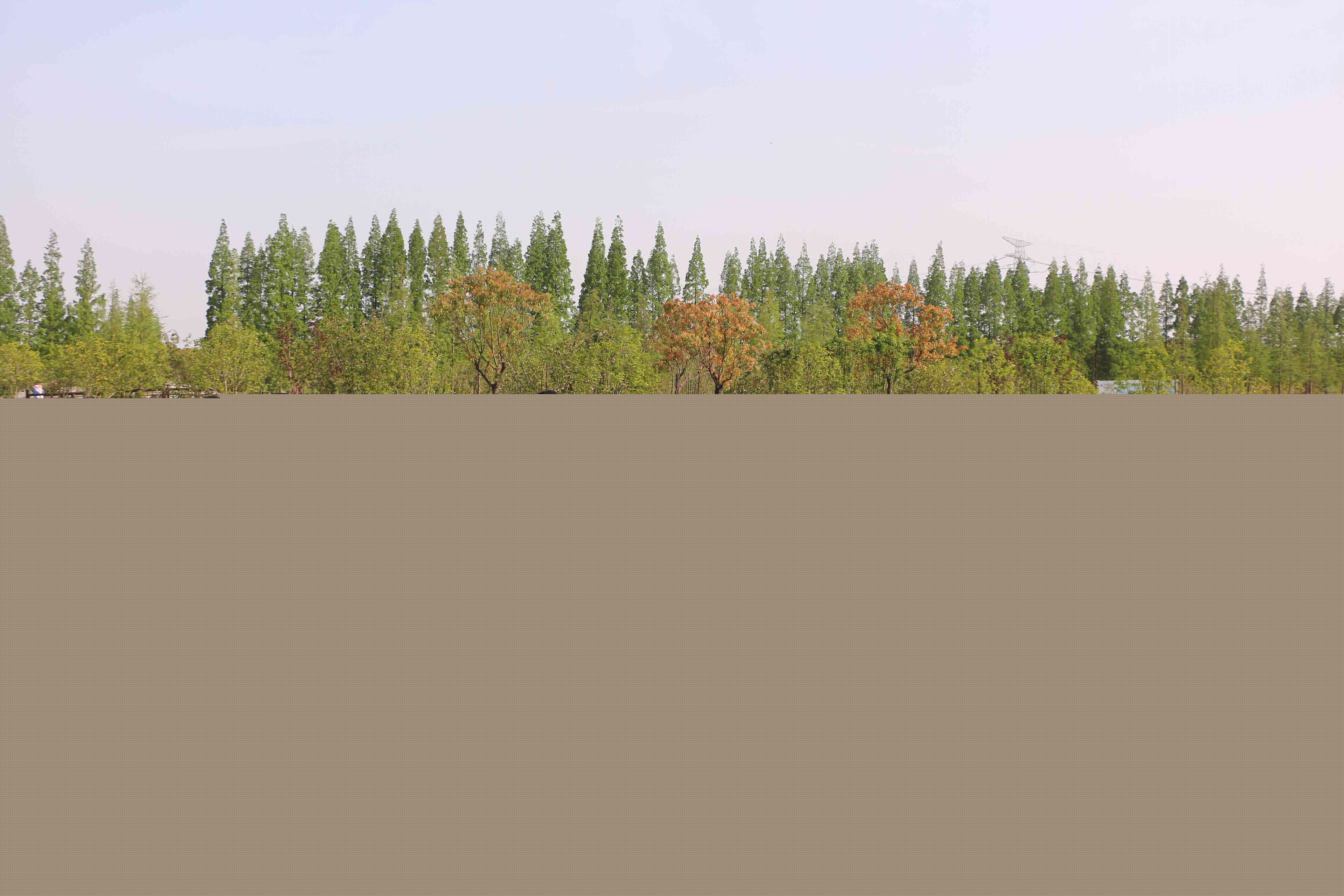 蔣巷一日拓展訓練(圖382)